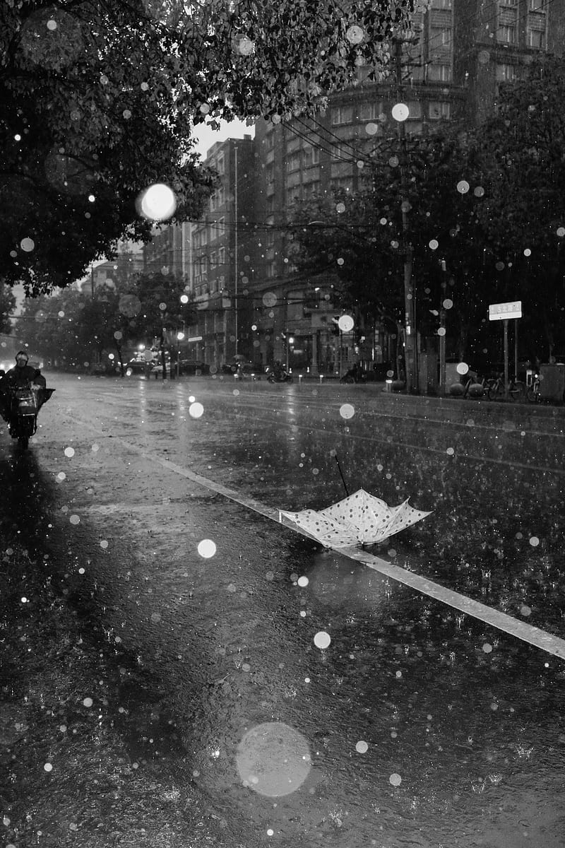 street, rain, bw, umbrella, asphalt, wet, HD phone wallpaper