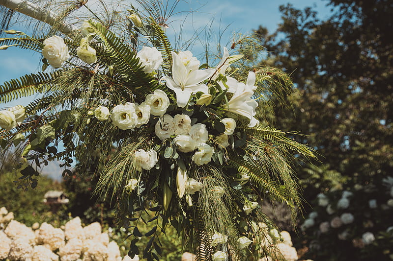 Bouquet, flowers, leaves, white, green, HD wallpaper | Peakpx