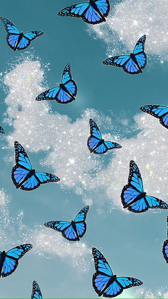 Buterfly, aesthetic, blue, buterfly, HD phone wallpaper