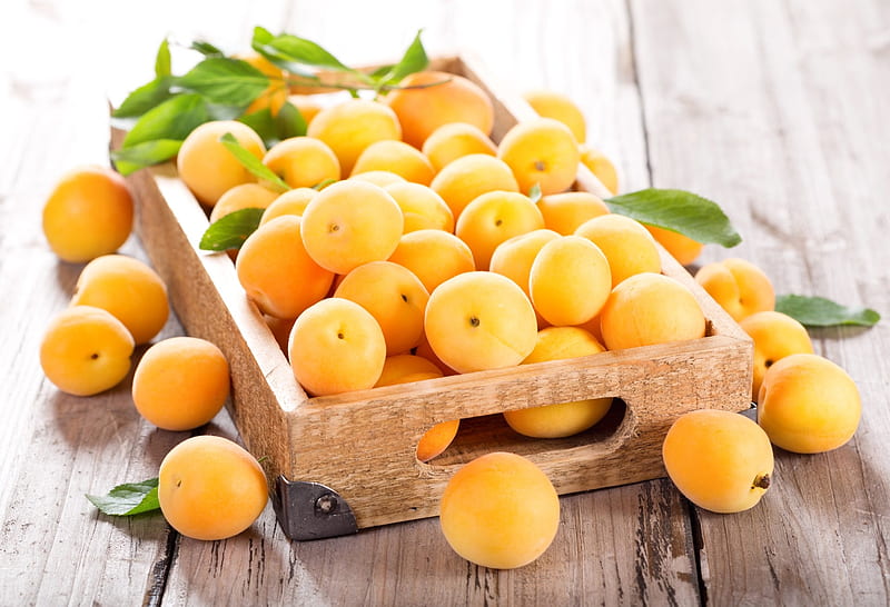 Apricot, fruti, vegetable, orange, HD wallpaper