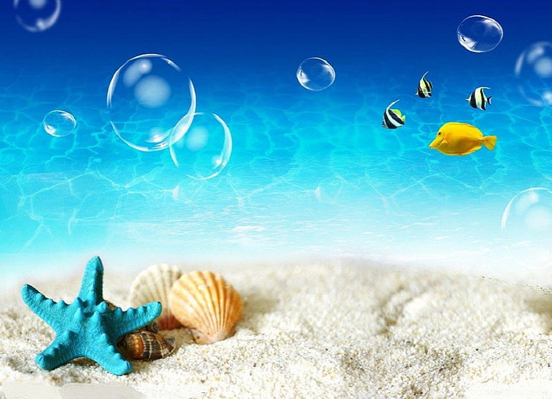 Summer, fishes, yellow fish, fish, sea shells, fun, star fish, starfish, beach, sand, water, bubbles, shells, blue, HD wallpaper