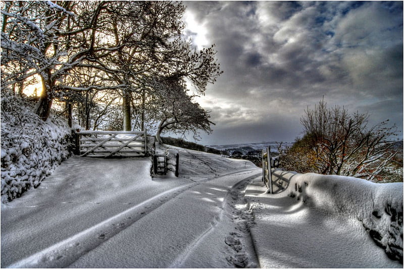 SNOWY GATEWAYS, snow, gateways, trees, clouds, sky, winter, HD wallpaper