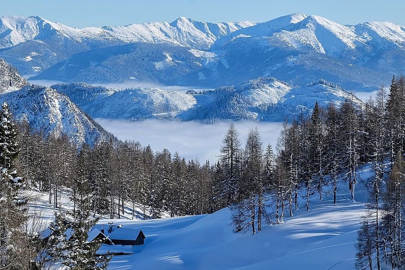 Snow in the mountains, ho, tajkep, havas fak, teli, termeszet, kod, fenyok, HD wallpaper