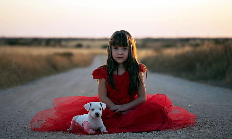 Little girl and her puppy, red, dress, little, fetita, animal, cute, girl, copil, child, road, white, puppy, dog, HD wallpaper