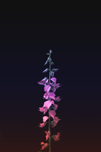 FLUME ALBUM ART VS iOS 11 WALLPAPERS 🤔