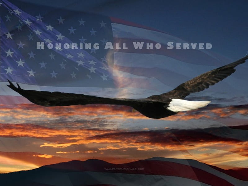 Veterans day, eagle, high, away, flying, HD wallpaper