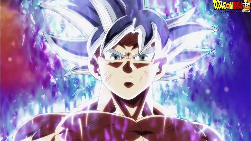 Goku dominó el ultra instinto. goku, anime, goku, canal de goku, Fondo de  pantalla HD | Peakpx