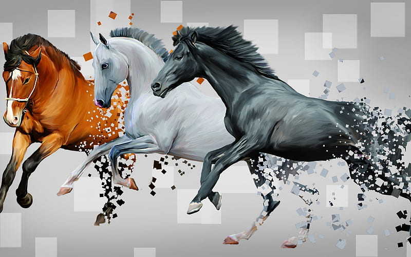 Horses, art, orange, painting, black, white, horse, abstract, HD wallpaper