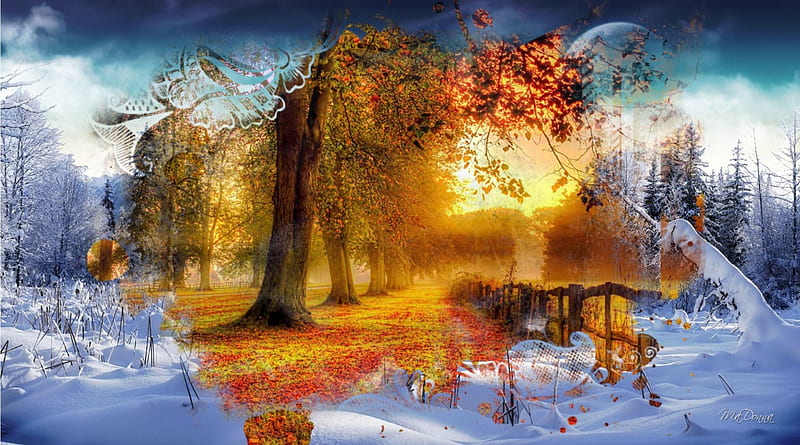 Autumn to Winter, fall, autumn, collage, trees, seasons, winter, leaves, snow, light, HD wallpaper