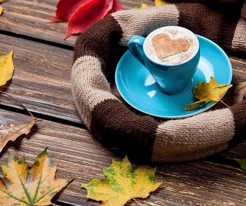 Coffee , autumn, cafe, graphy, time, enjoyment, cup, HD wallpaper
