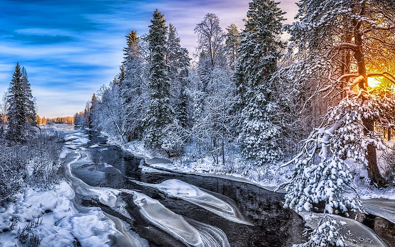 winter, forest, river, beautiful nature, sunset, snowdrifts, winter landscapes, R, HD wallpaper
