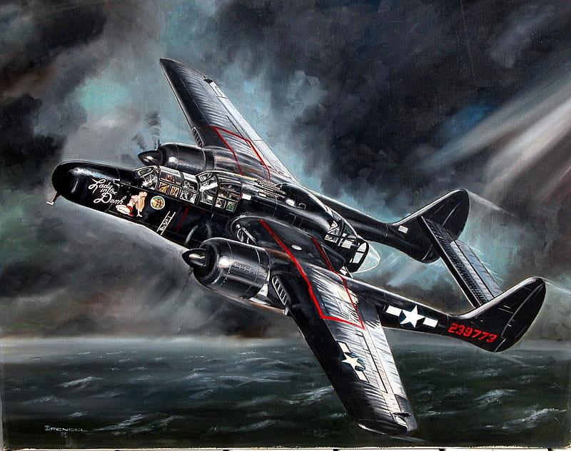 Northrop-P-61-Black-Widow, Black, craft, Northrop, air, 61, Widow, P, HD wallpaper