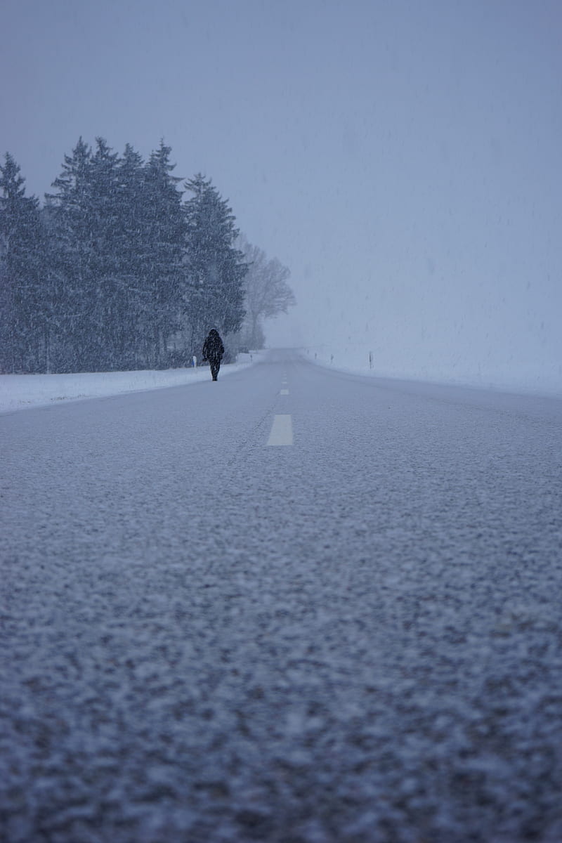 silhouette, winter, fog, snowstorm, snowfall, road, HD phone wallpaper
