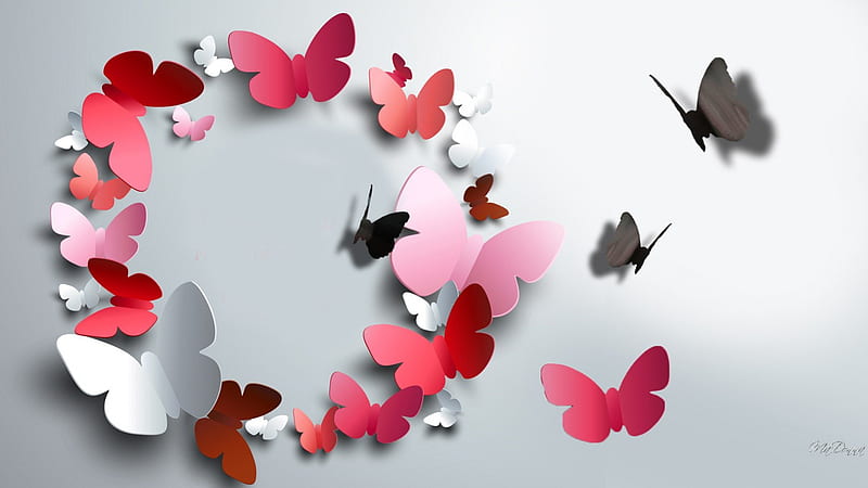 Circle of Paper Butterflies, gray, cut outs, shadow, butterflies, abstract, delicate, fantasy, papillon, paper, HD wallpaper