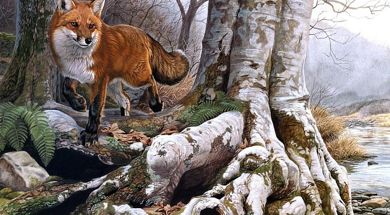 Fox a forest reproduction, forest, Fox, river, reproduction, HD wallpaper