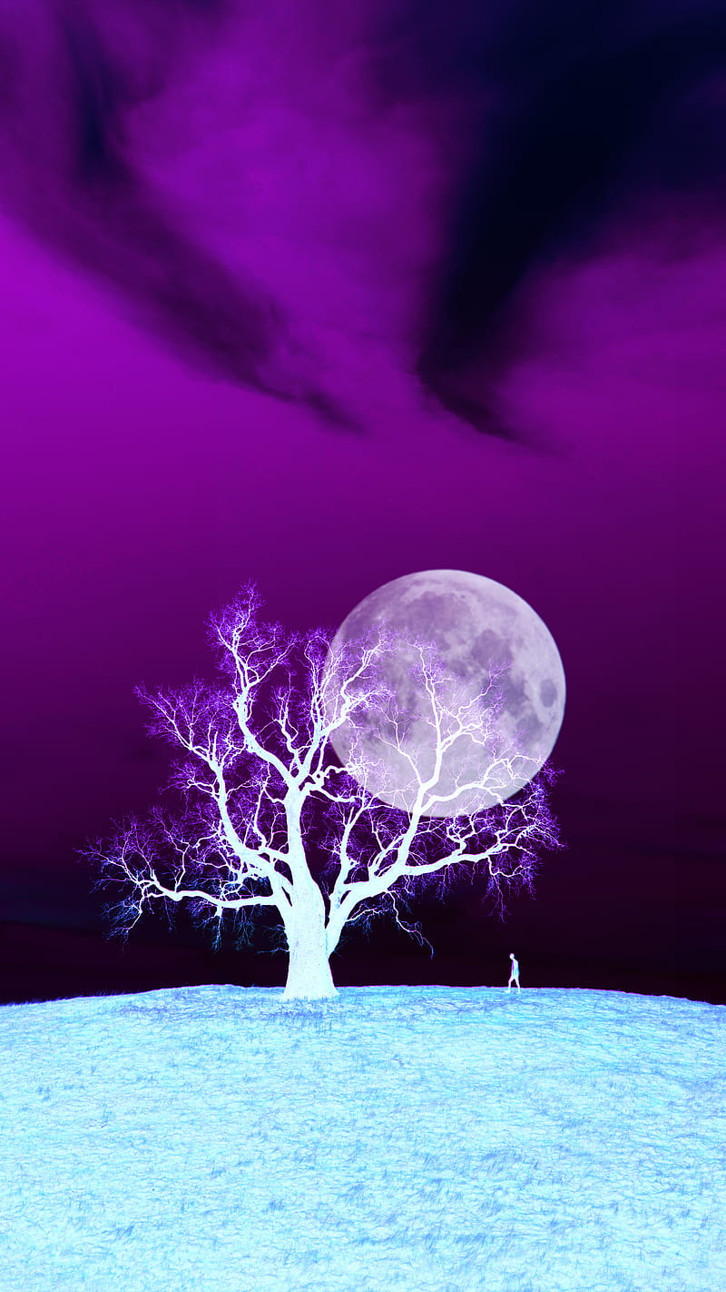 In Hope, Alone, Fullmoon, Man, Moon, Pink color, Tree, HD phone ...