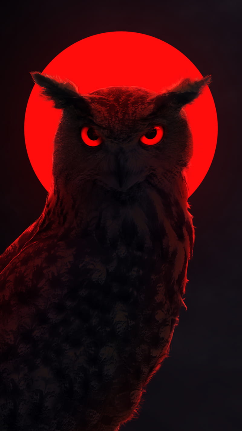 Red Hunter, dark, minimalist, neon, owl, owl , red eclipse, red moon, red , silhouette, HD phone wallpaper