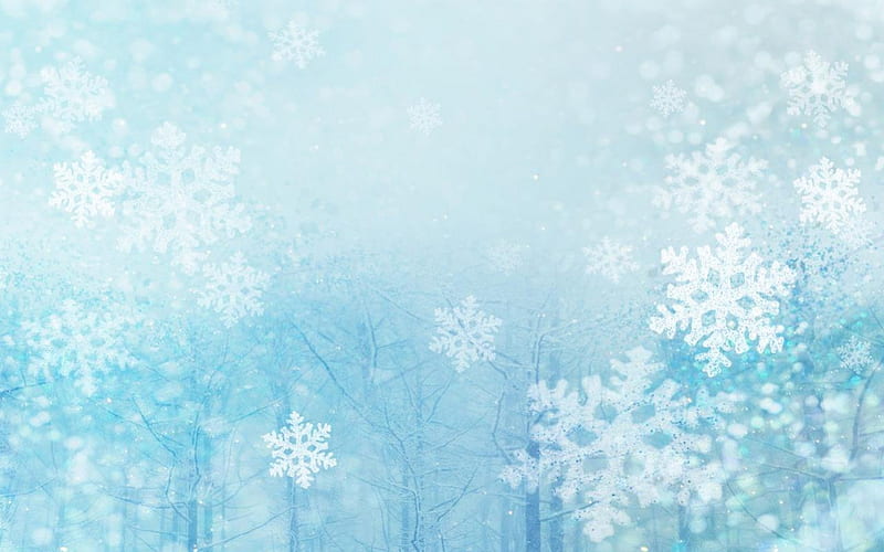 Blirk Net Christmas Snow Flakes, flakes, christmas, net, snow, blirk, HD wallpaper
