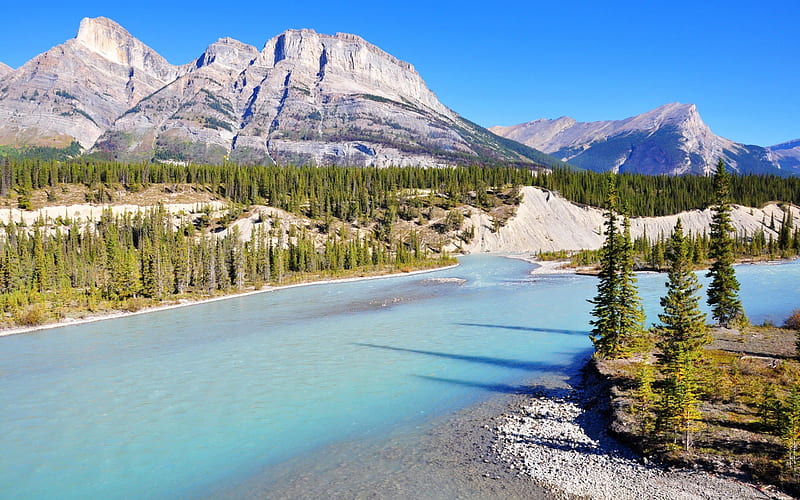 bow river, mountains, river, shore, banff, forest, canada, HD wallpaper