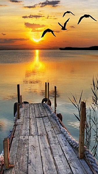 The Good Life, burds, deck, fall, fishing, lake, pier, scenes, sunset,  view, HD phone wallpaper