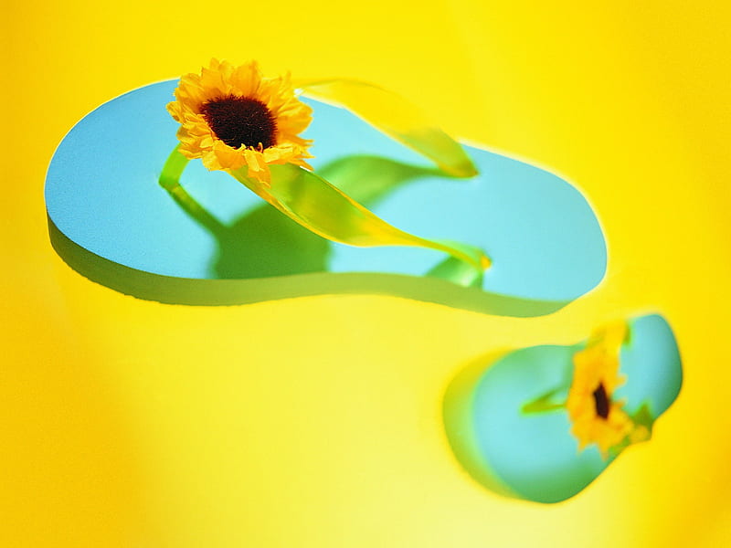 beach slippers - Summer Still Life graphy logo, HD wallpaper