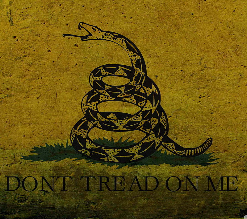 List 97+ Images don’t tread on me wallpaper hd Stunning