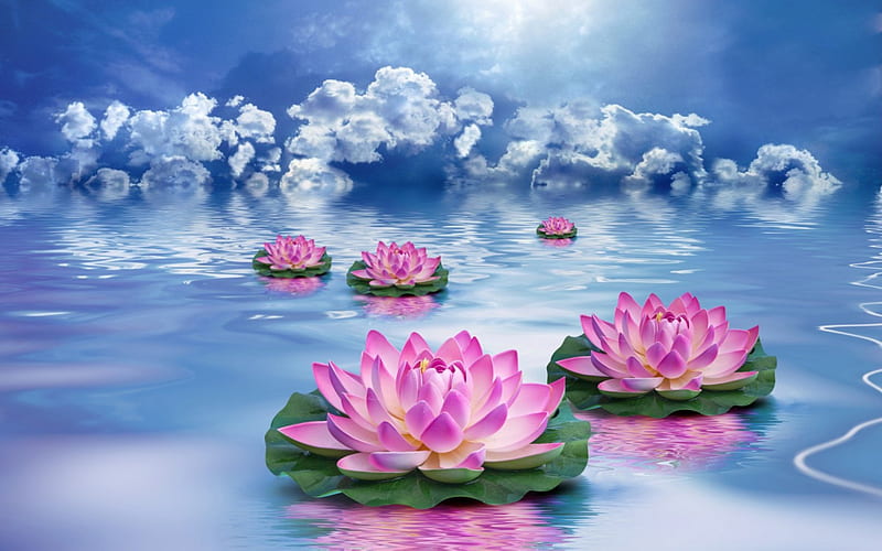 fantasy, water, cloud, lotus, flower, abstract, pink, blue, HD wallpaper