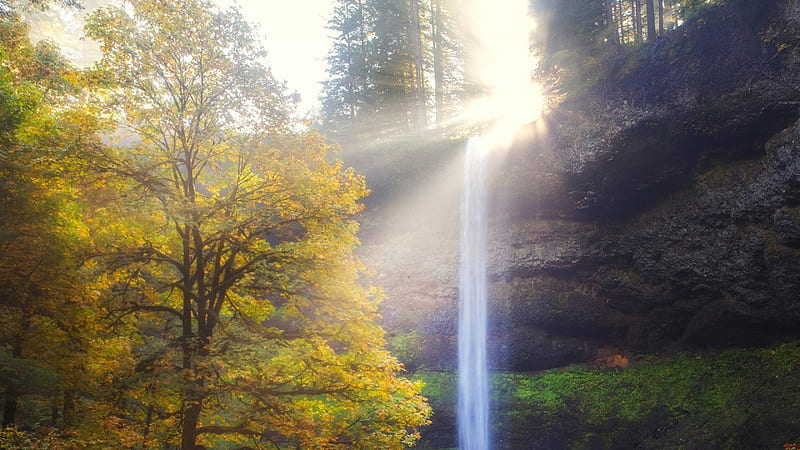 magical silver falls state park oregon, forest, autumn, waterfall, sun rays, cliff, fog, HD wallpaper