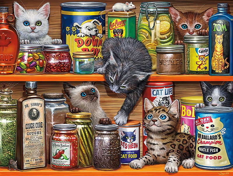 :), cute, art, shelves, painting, paw, kitchen, pictura, kitten, HD wallpaper