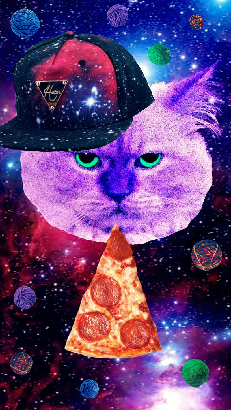 PIZZA CAT IN SPACE, cool, galaxy, hat, kitty, purple, universe, yarn, HD phone wallpaper