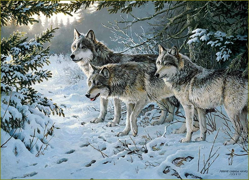 Wolves, art, persis clayton weirs, painting, lup, wolf, pictura, winter, iarna, pack, HD wallpaper