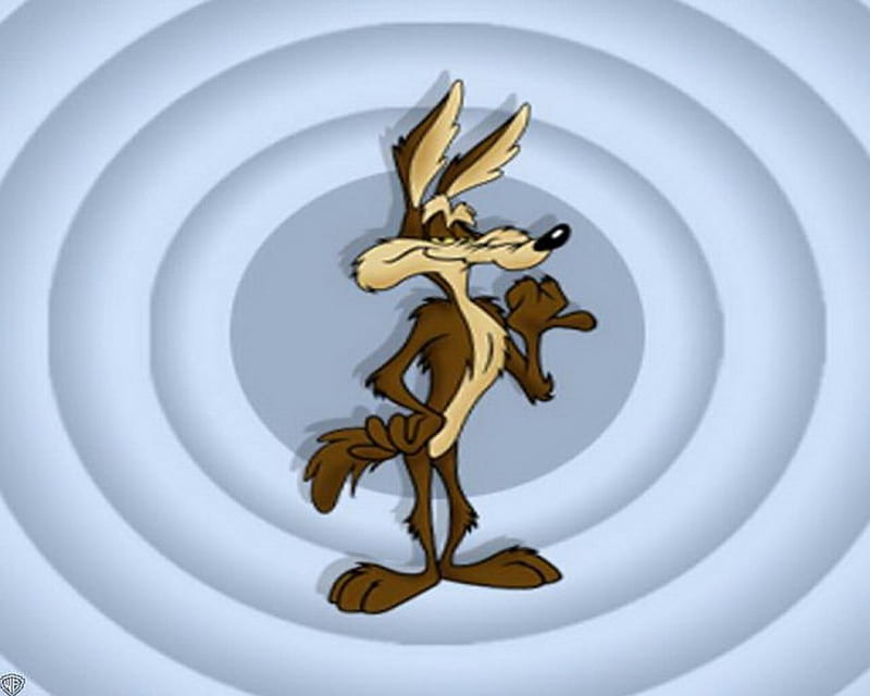 Wile E. Coyote, loony tunes, cartoon, wile e coyote, HD wallpaper | Peakpx