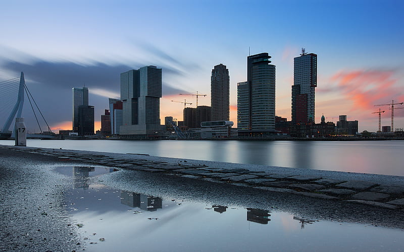 Rotterdam, evening, sunset, modern buildings, Nieuwe Werk, cityscape, South Holland, Netherlands, HD wallpaper
