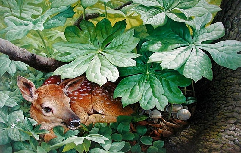 Well hidden, pretty, forest, colorful, amazing, bambi, colors, bonito, deer, animal, young, green, plants, hidden, HD wallpaper