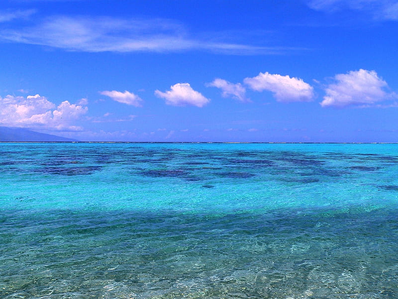 Tahiti Moorea Island, beach, pacific, tropical, HD wallpaper