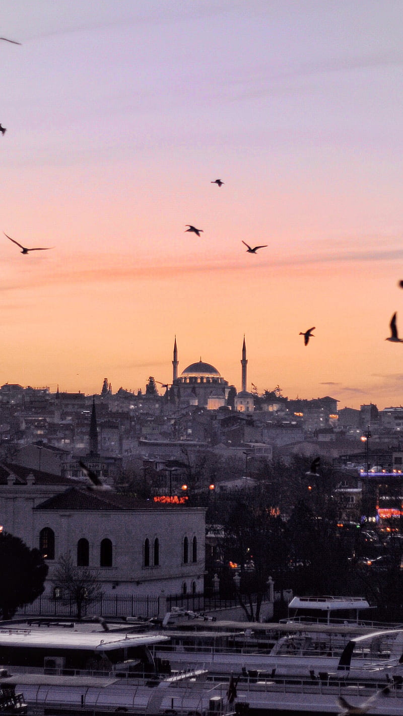 Istanbul | Turkey, city, mosque, HD phone wallpaper