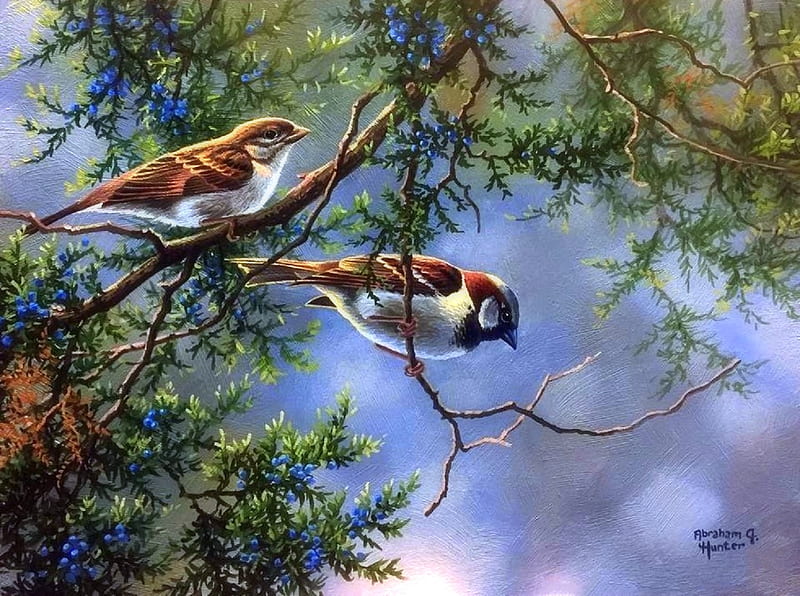 Couple Sparrows, family, love four seasons, birds, sparrows, spring, attractions in dreams, paintings, nature, sparrow, beloved valentines, animals, HD wallpaper