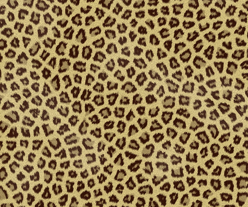 Cheetah, africa, animal, brown, cool, leopard, pattern, wild, yelow, HD wallpaper