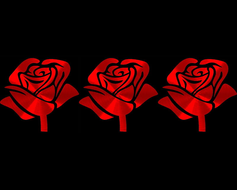 Rosas rojas, rojas, gizzzi, rosas, flores, negras, labrano, rosas, Fondo de  pantalla HD | Peakpx