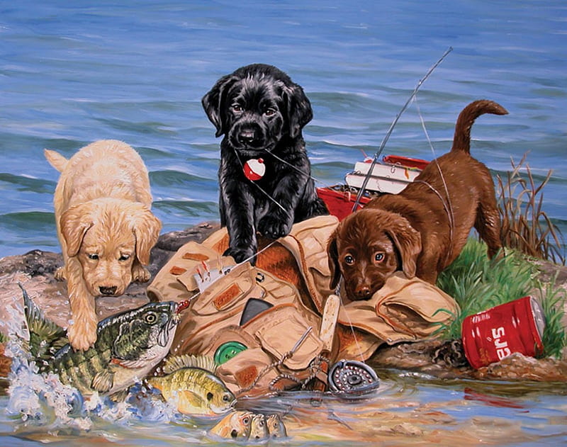Little Fishermen, freinds, Fishermen, puppys, adorable, Little, dogs, play, sweet, HD wallpaper