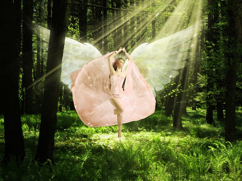 Guardian Angel, forest, wings, grass, angel, ray of sun, trees, women, HD wallpaper