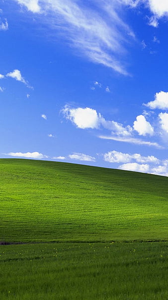 Windows, bliss, computer, eyad, nature, view, window, HD phone wallpaper |  Peakpx