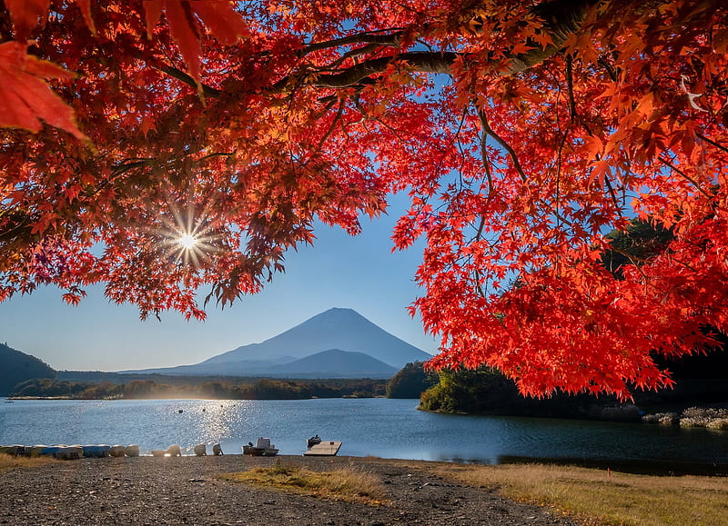 Mount Fuji, Lake, Leaves, japan, Autumn, HD wallpaper