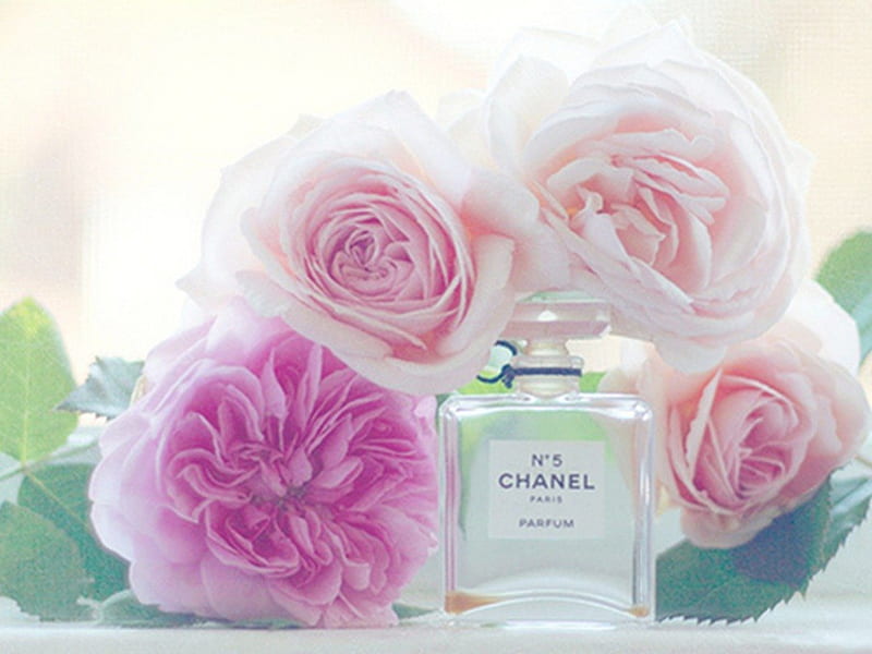 Perfume, peony, chanel, flowers, roses, HD wallpaper