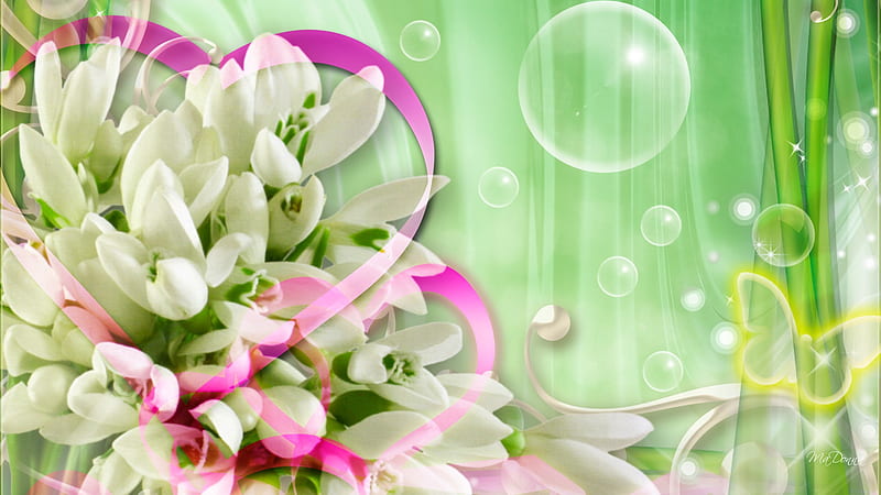 Spring So Delicate, fresh, ribbon, plumeria, delicate, frangipani, green, bubbles, flowers, snowdrops, HD wallpaper