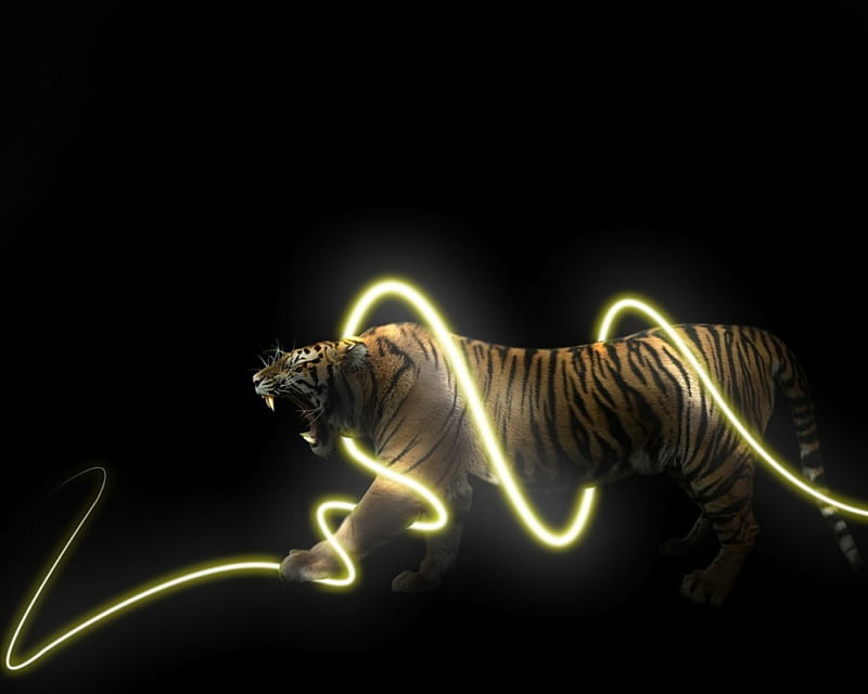 tiger light, 3d, fantasy, tiger, HD wallpaper