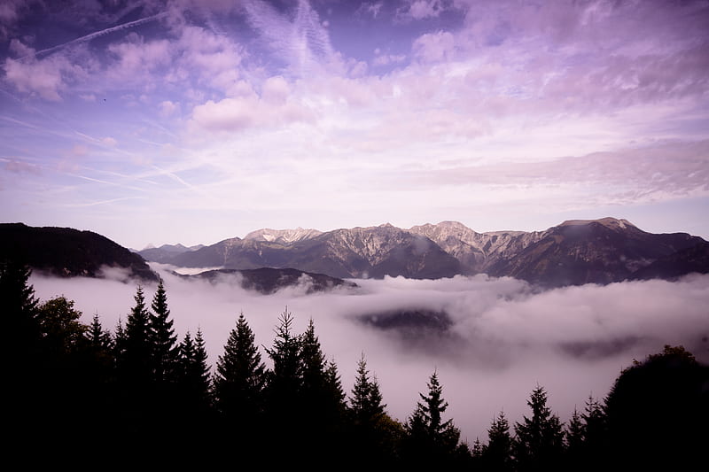 mountains, clouds, trees, landscape, high, HD wallpaper