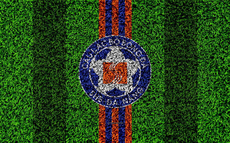 SHB Da Nang FC logo, football lawn, Vietnamese football club, orange blue lines, grass texture, emblem, V League 1, Danang, Vietnam, football, HD wallpaper