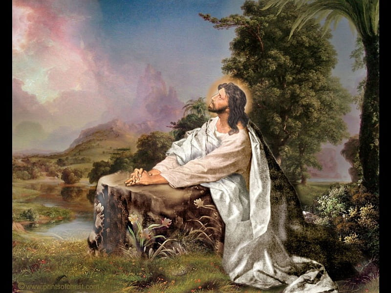 JESUS in prayer, christ, jesus, passion, pray, god, HD wallpaper