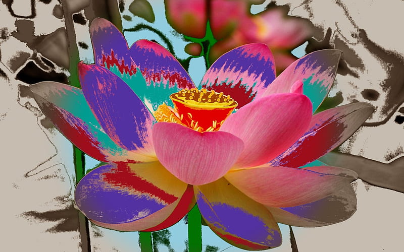 Futurystyczny kwiat, komputerowa, grafika, kolorowy, kwiat, HD wallpaper